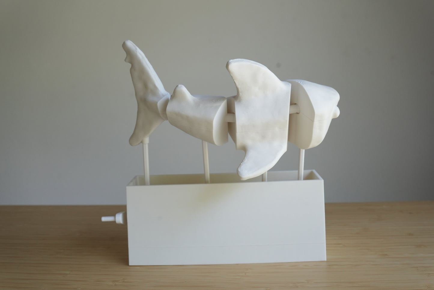 Shark Executive Desk Toy - Customizable Great White