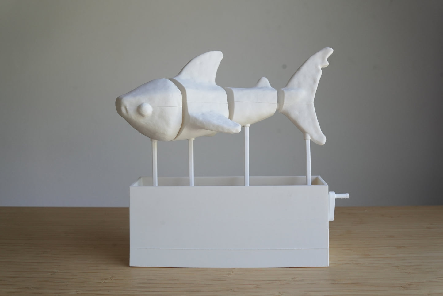 Shark Executive Desk Toy - Customizable Great White