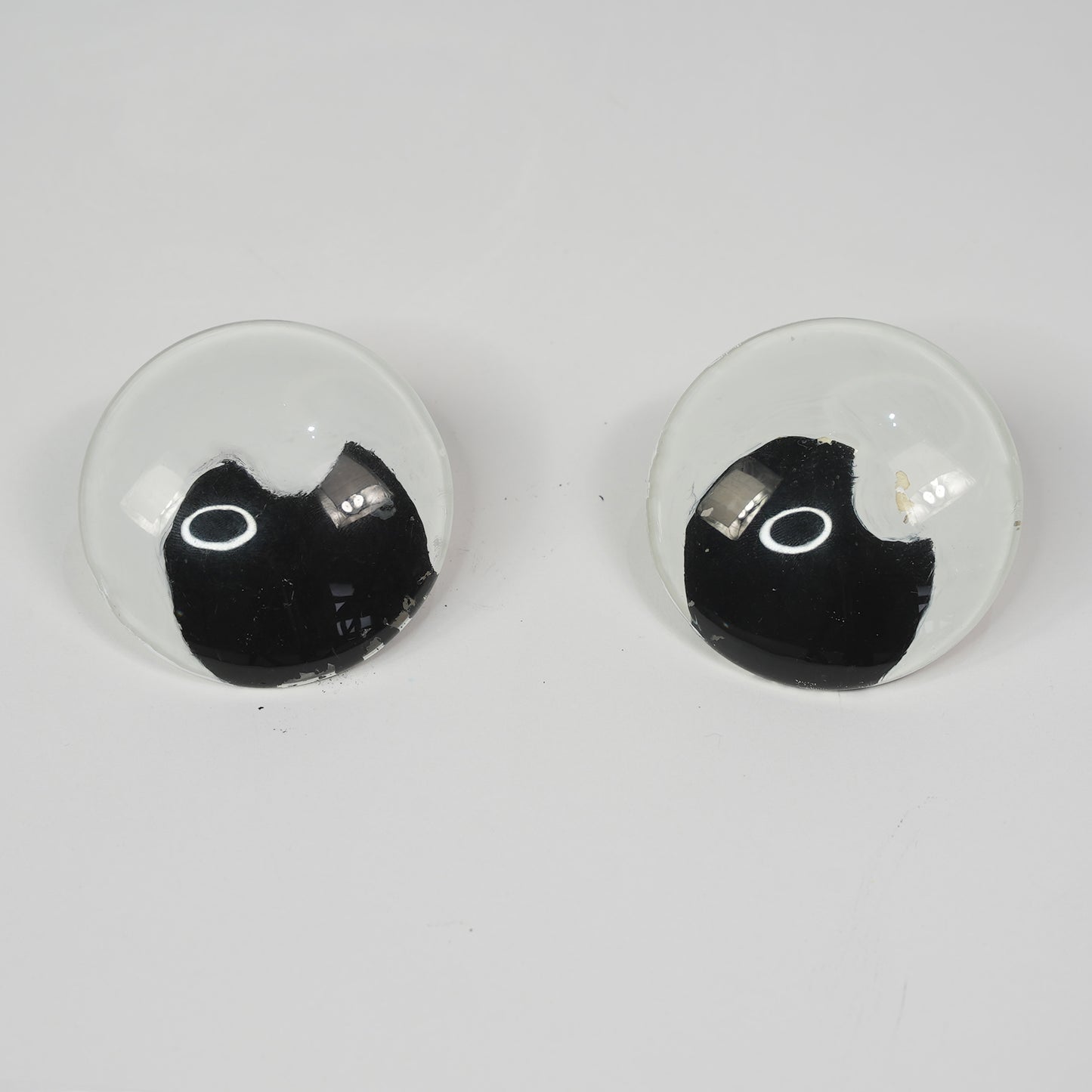 Glass Dog Eyes
