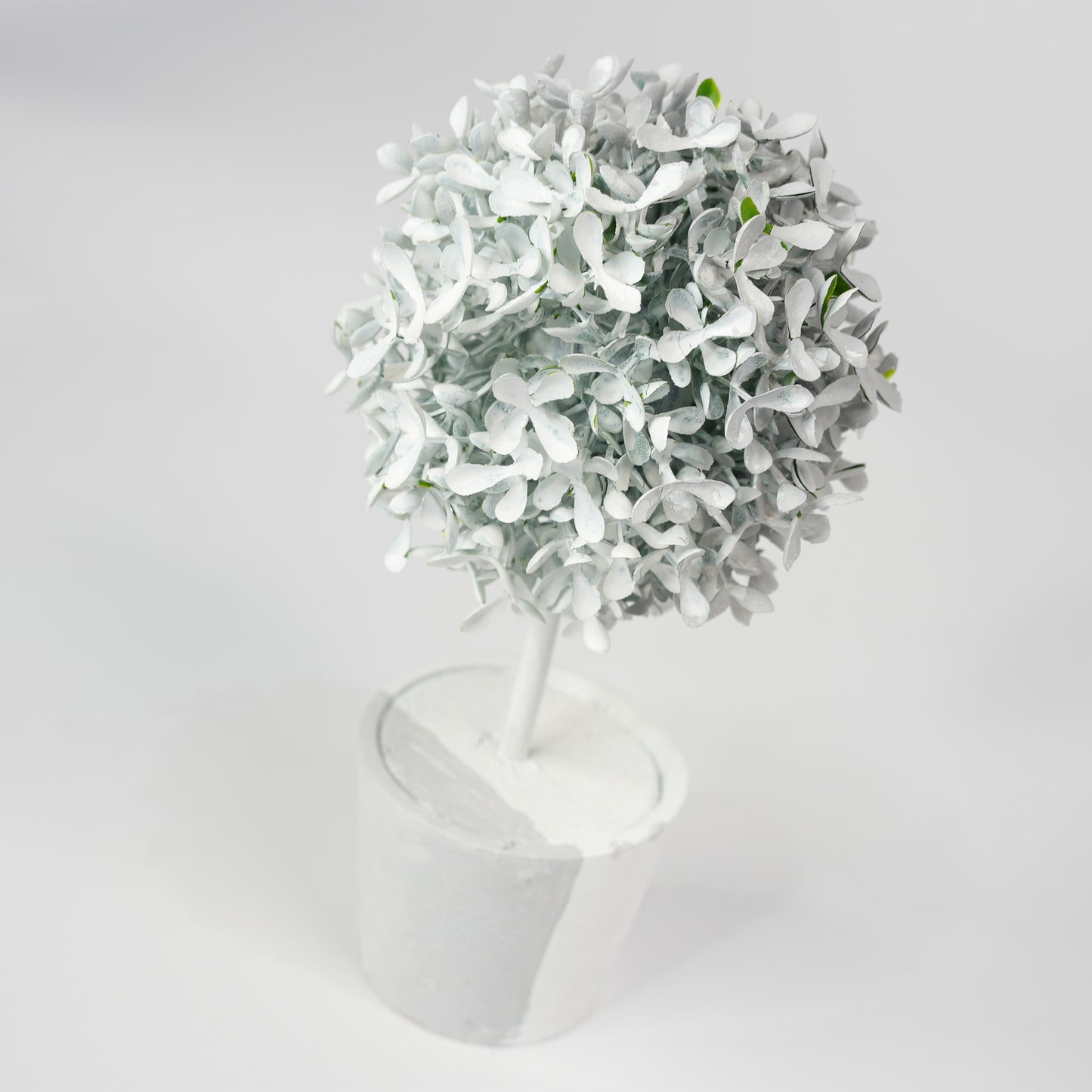 Invisible Plant