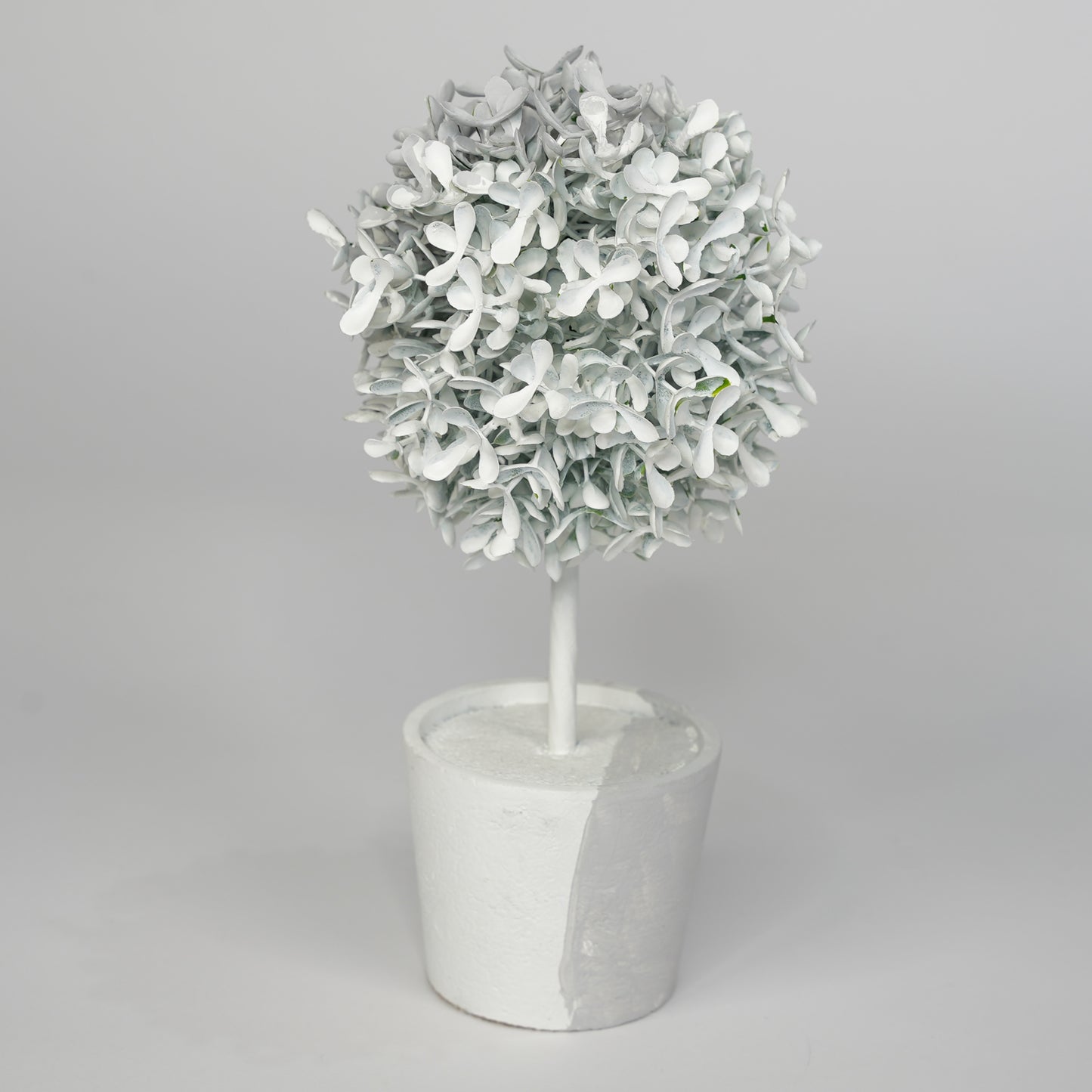 Invisible Plant