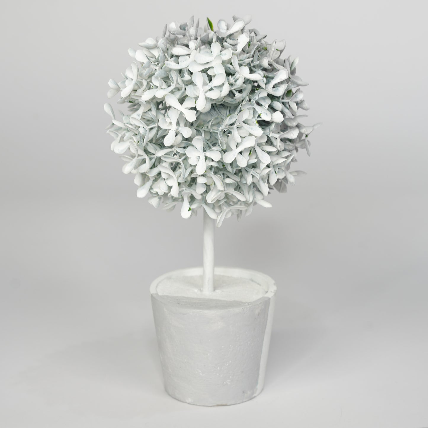 Invisible Plant