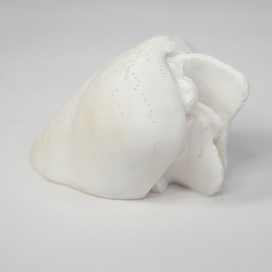 Sandwich Paperweight