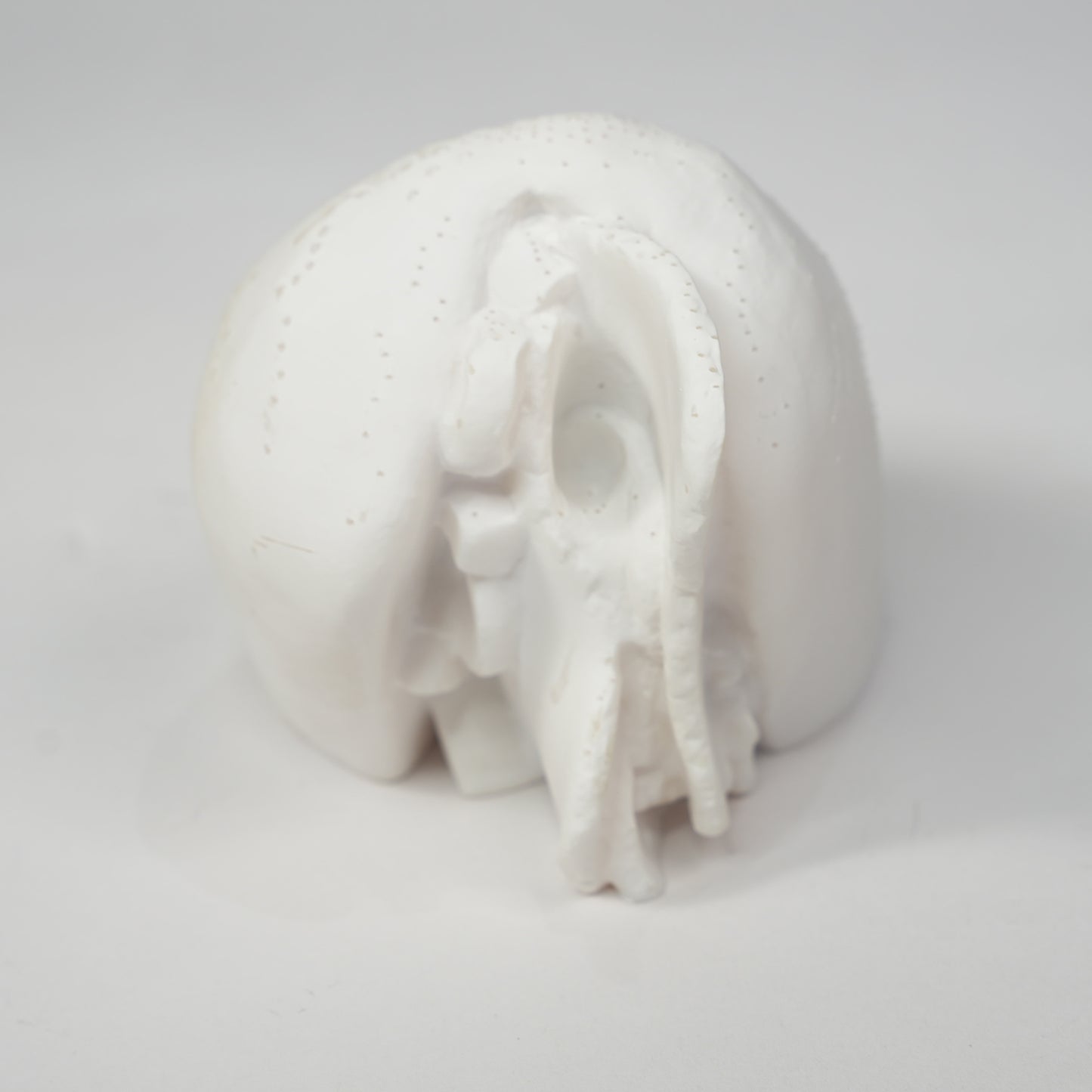Sandwich Paperweight