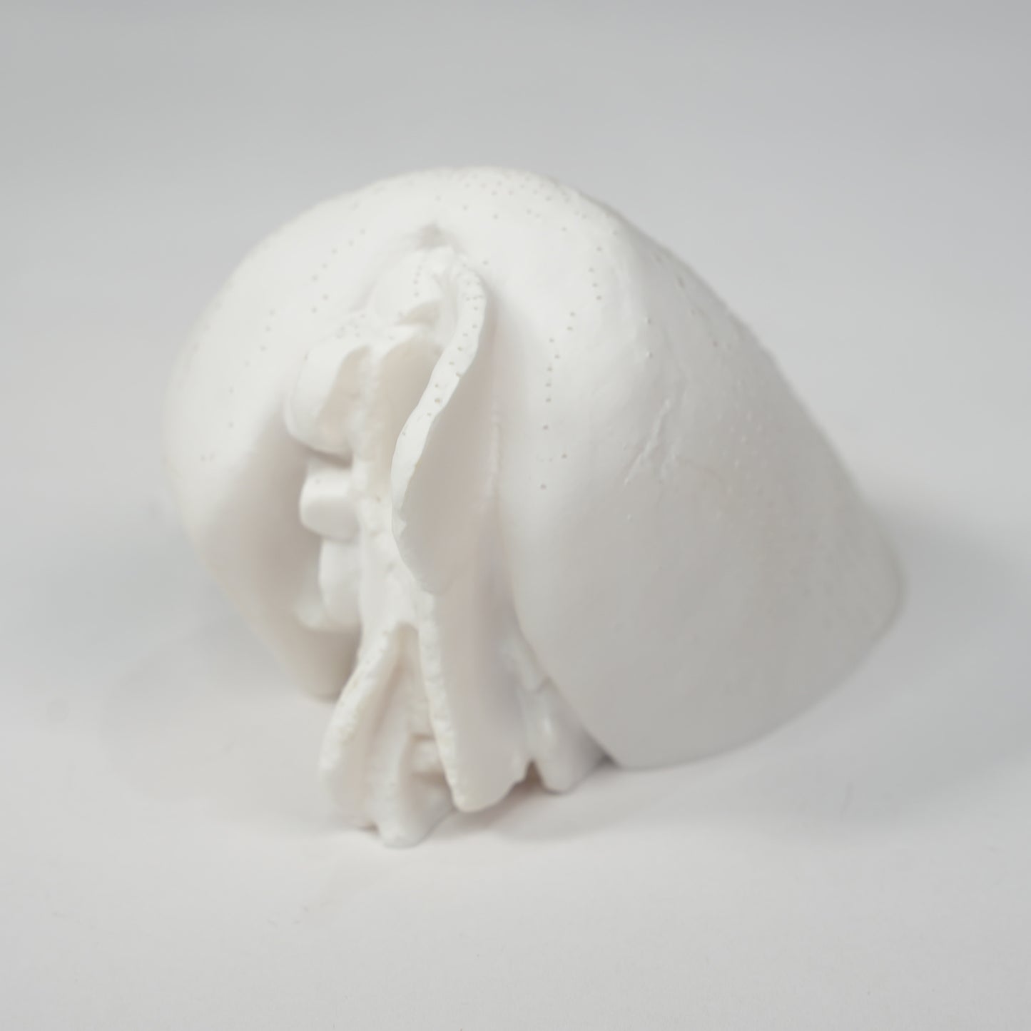 Sandwich Paperweight