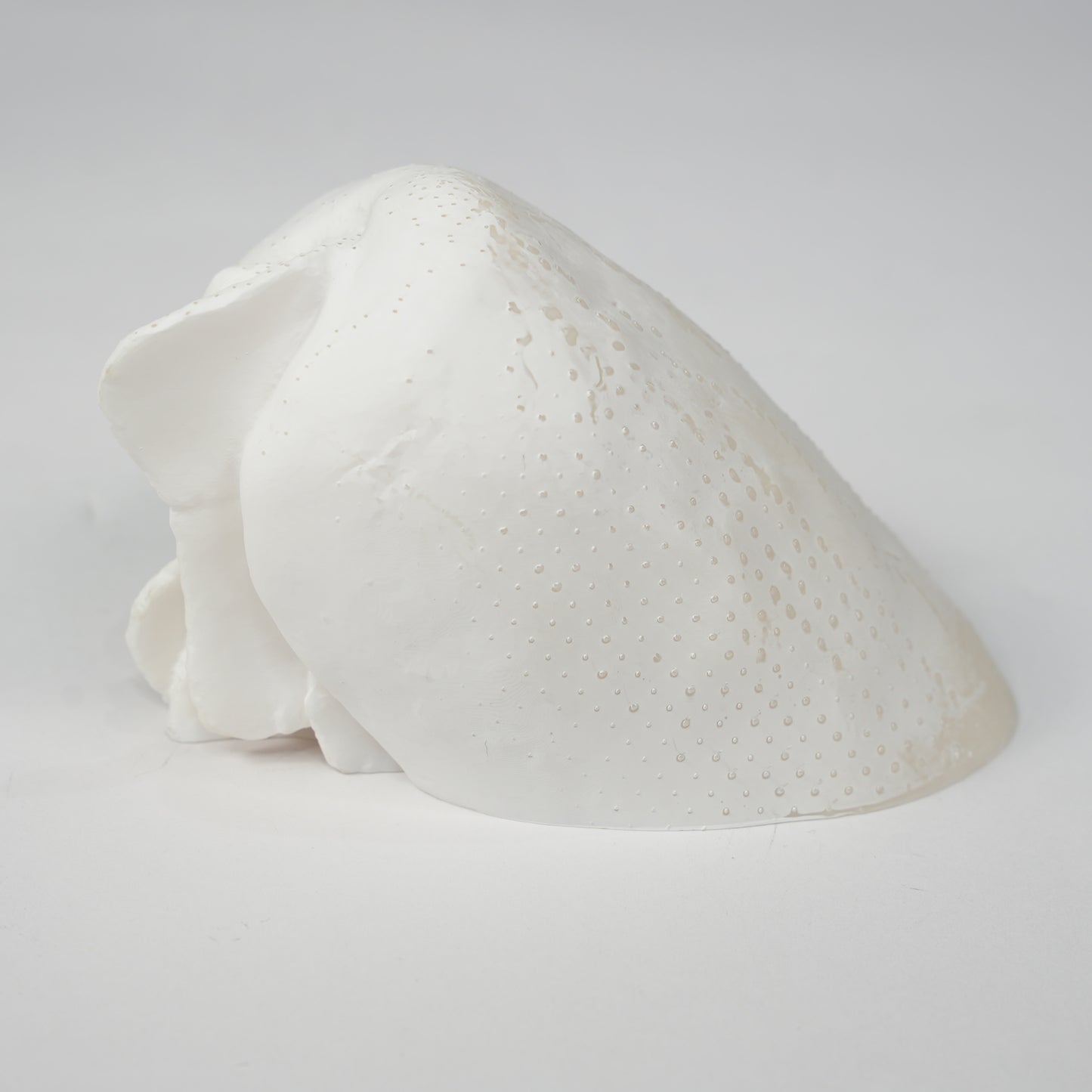 Sandwich Paperweight