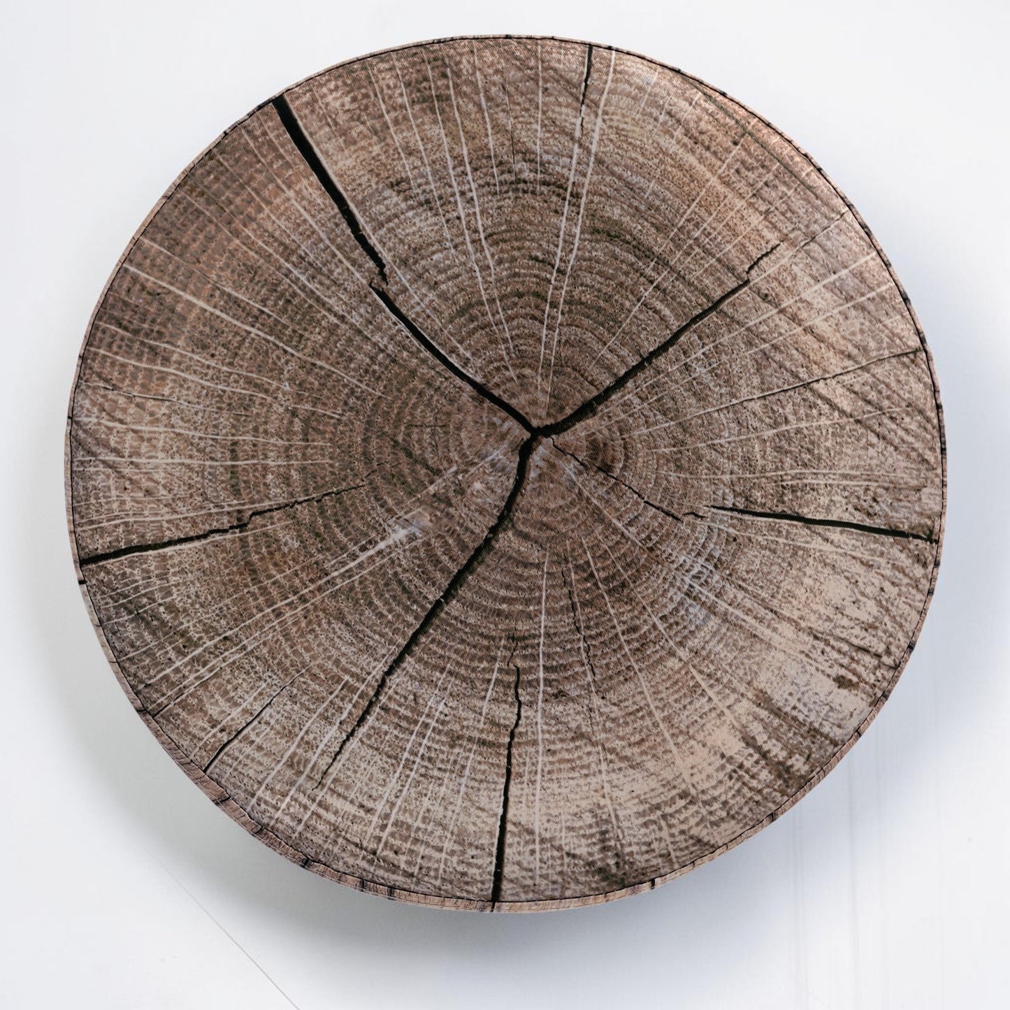 Tree Trunk Stool