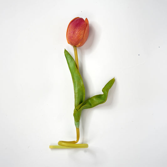 Tulip 9