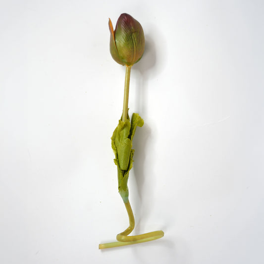 Tulip 10