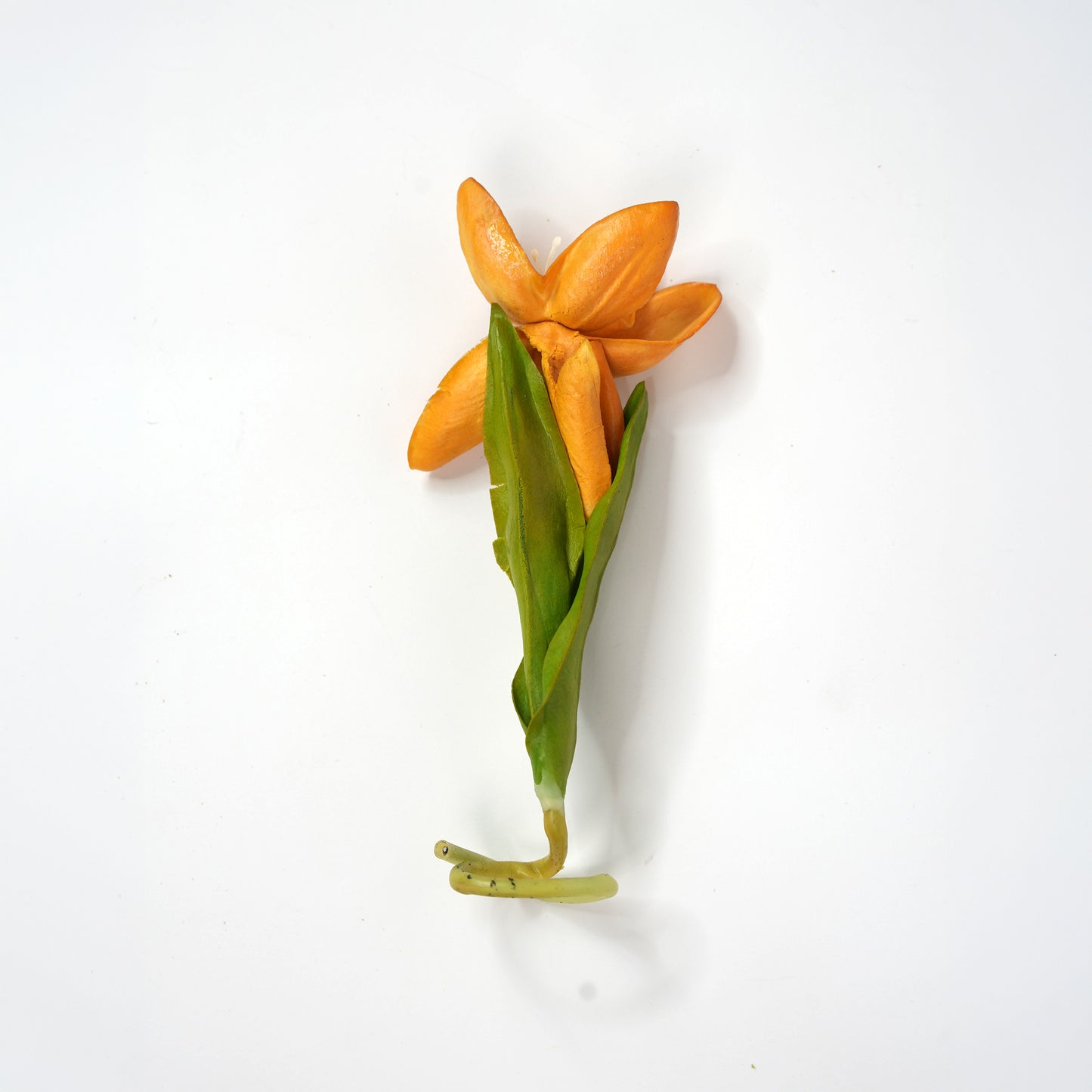 Tulip 1