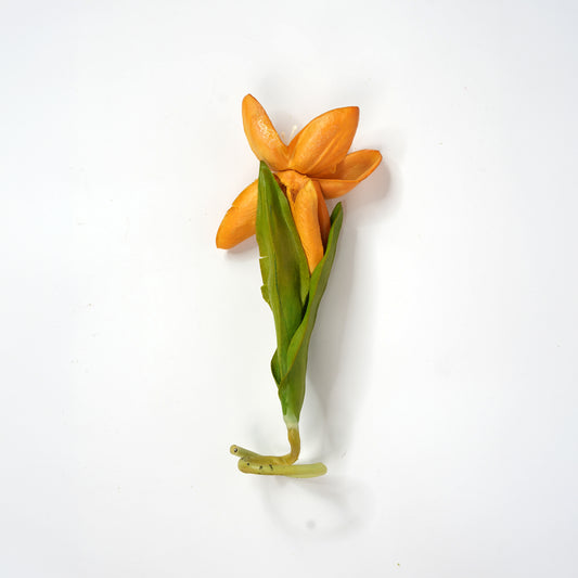 Tulip 1