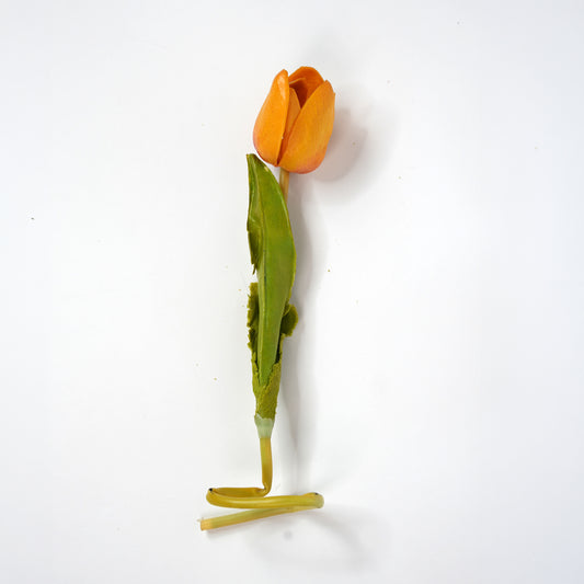 Tulip 3