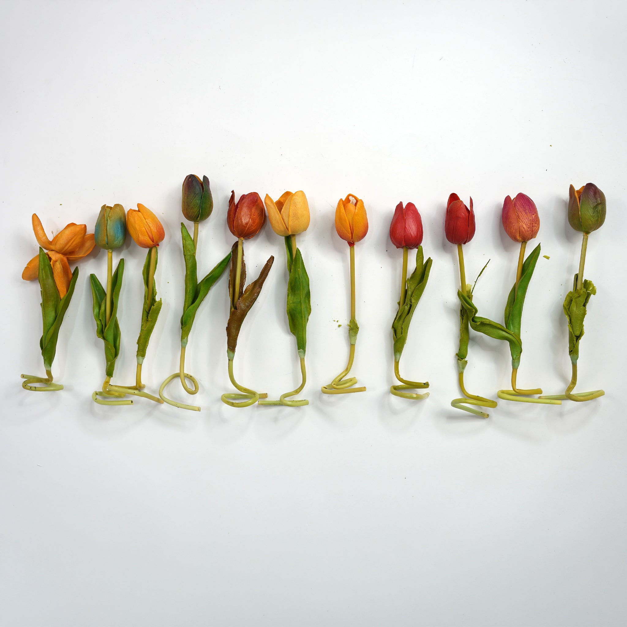 Tulip 5 – Outrageous Art