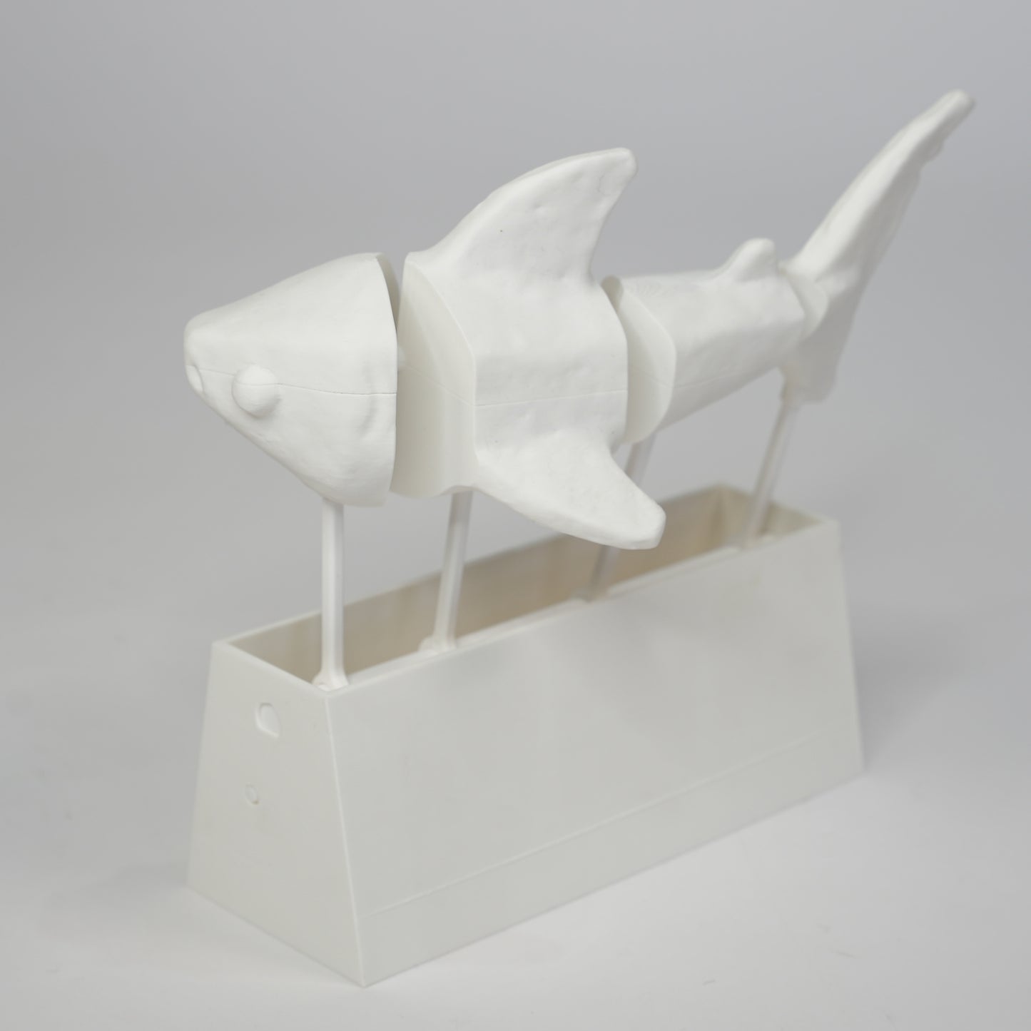 Original White Automaton Shark