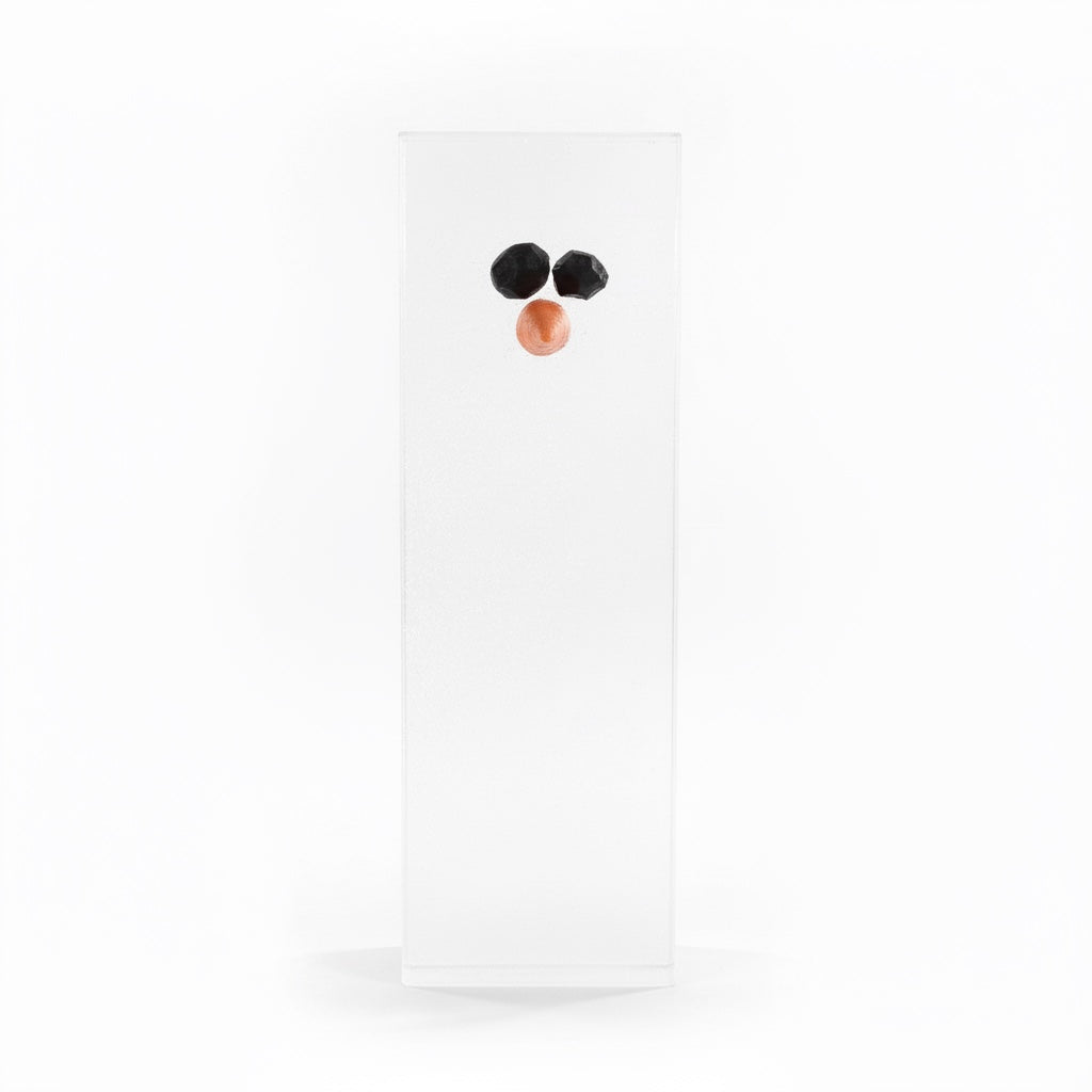 Outrageous Art Minimalist Snowman sculpture by Ali Spagnola featuring a clear block with chicken wire nose and eyes