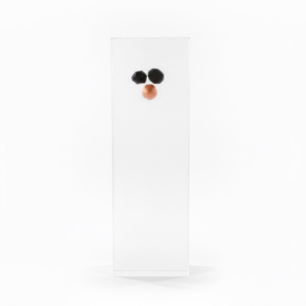 Outrageous Art Minimalist Snowman sculpture featuring a clear rectangular body with a chicken wire nose detail.